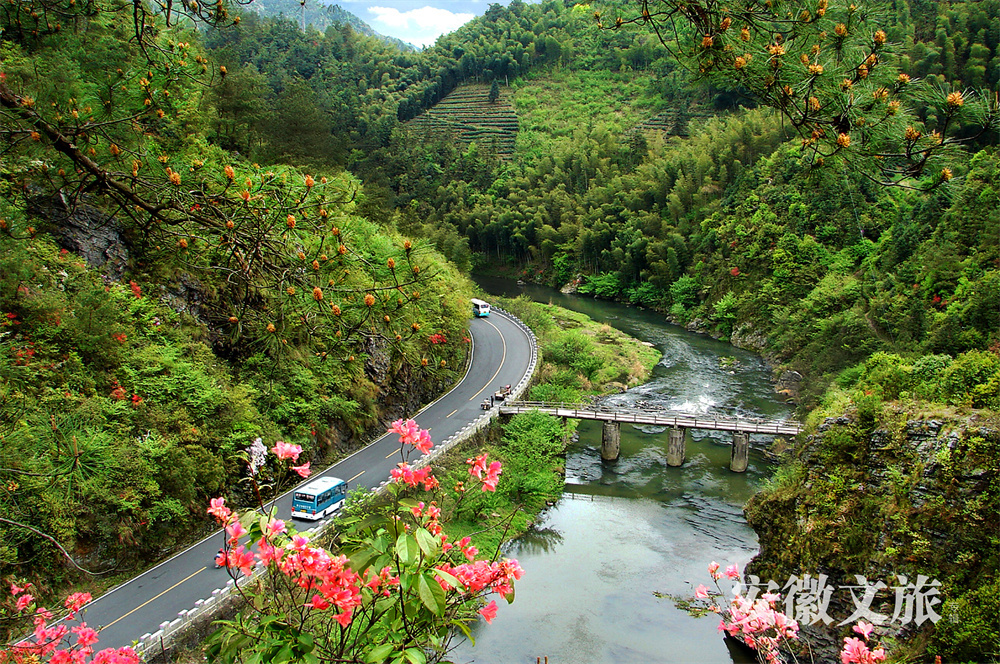 安徽黄山:世界遗产旅游风景道,风雅至极生奇韵