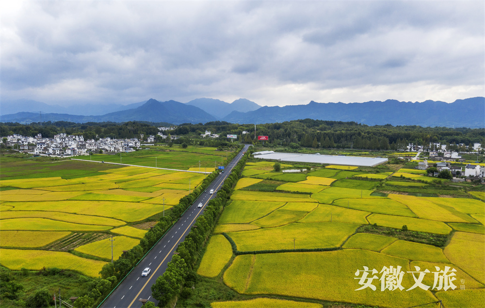 安徽黄山:世界遗产旅游风景道,风雅至极生奇韵