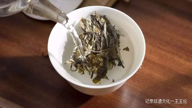 喝什么茶能提高人体免疫力?