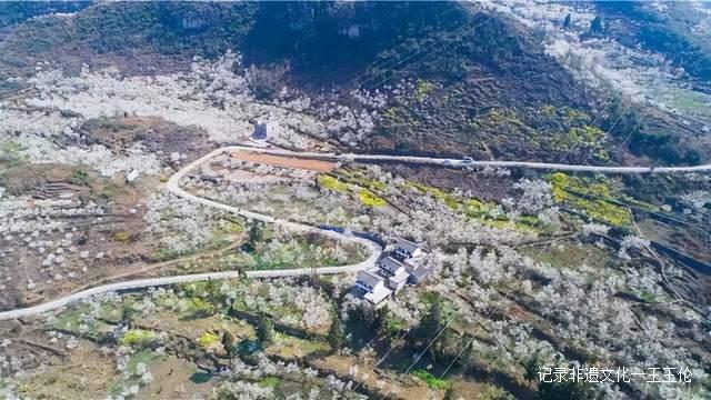 贵州这些地方将花开成海，美成童话世界，错过就要再等一年