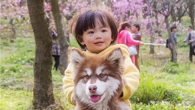贵州这些地方将花开成海,美成童话世界,错过就要再等一年