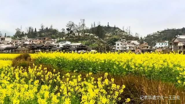贵州这些地方将花开成海,美成童话世界,错过就要再等一年