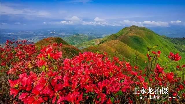 贵州这些地方将花开成海,美成童话世界,错过就要再等一年