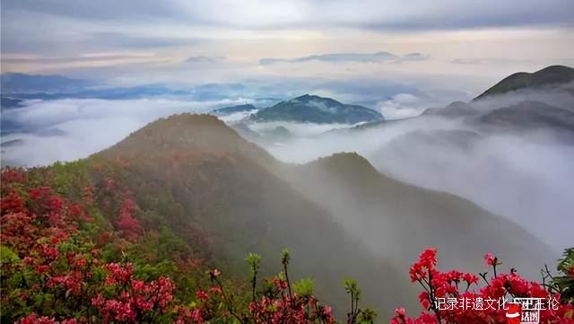 贵州这些地方将花开成海,美成童话世界,错过就要再等一年