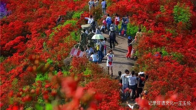 贵州这些地方将花开成海,美成童话世界,错过就要再等一年