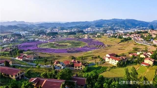 贵州这些地方将花开成海,美成童话世界,错过就要再等一年