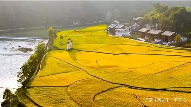 贵州这些地方将花开成海，美成童话世界，错过就要再等一年