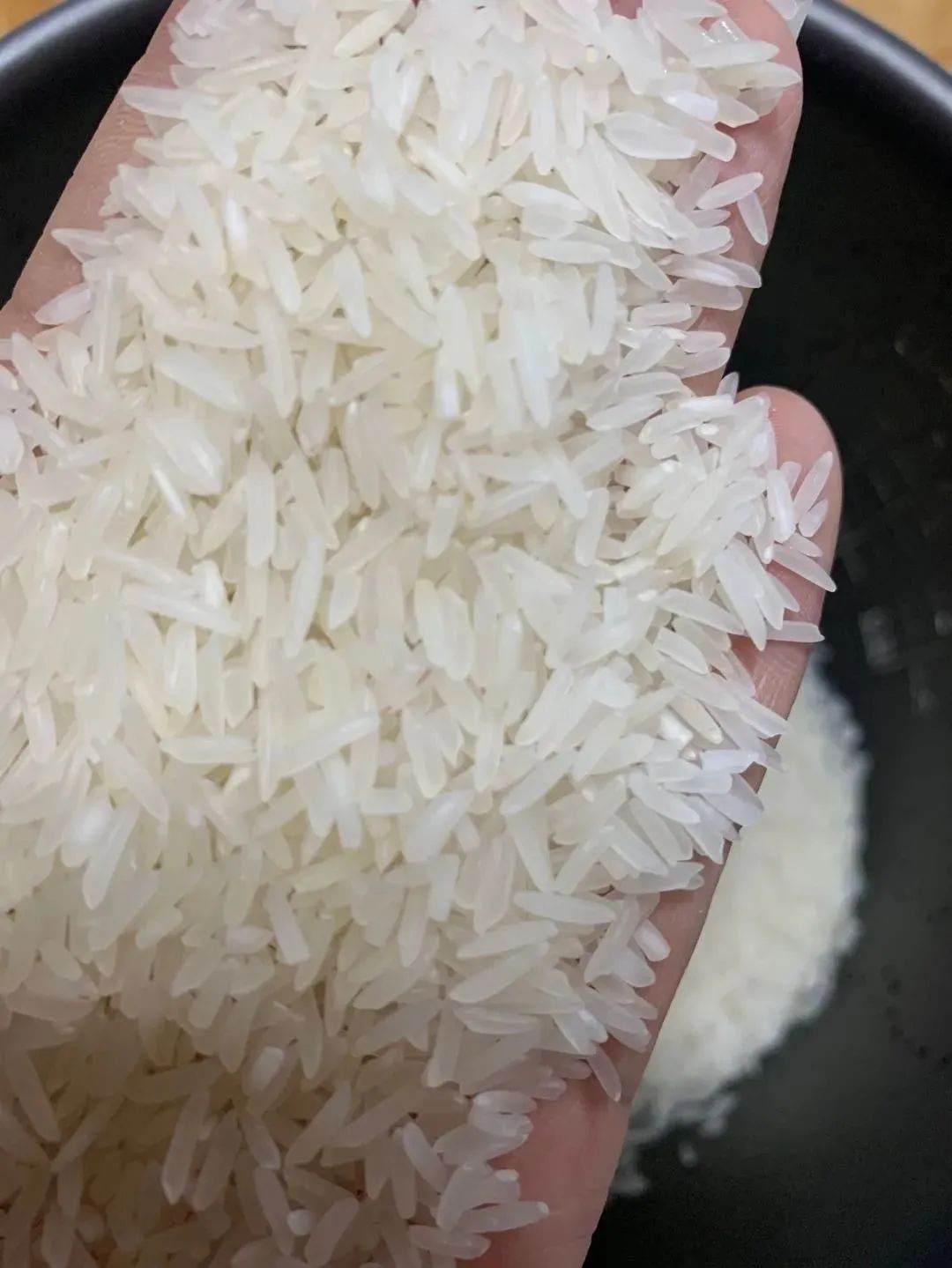 【侨都甄选】49元/包!台山大米·侨光象牙粘5KG!香软弹牙,粒粒分明~