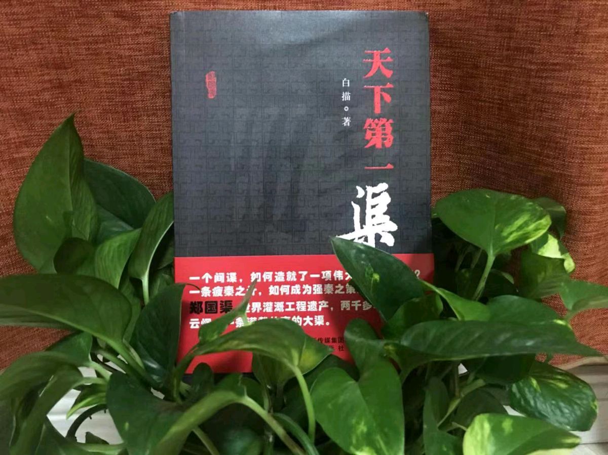 关于《天下第一渠》创作答中新网记者问