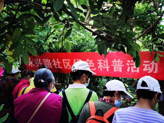 昆明永兴路社区开展“品劳动之果,享丰收之悦”绿色科普活动