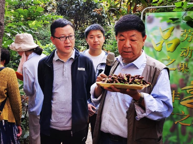 昆明永兴路社区开展“品劳动之果,享丰收之悦”绿色科普活动