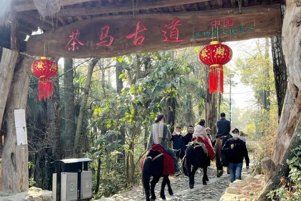 有一种叫云南的生活‖大理凤阳邑：时光在这里驻留 只有风轻轻吹过