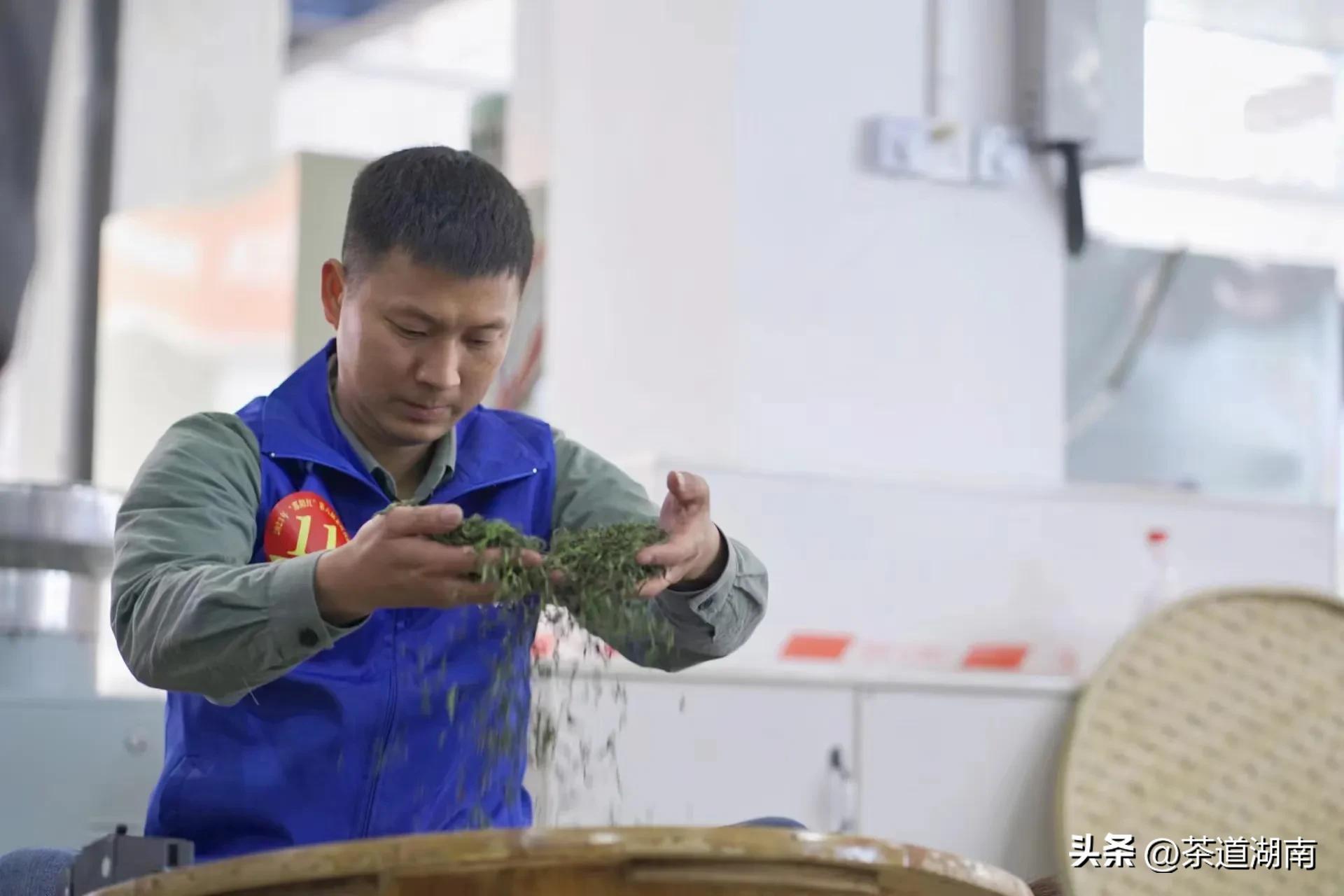 姜能均获“邵阳红”第6届茶叶技能大赛红茶比赛最佳奖