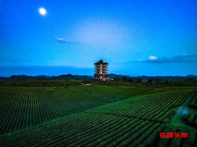 为什么是贵州?