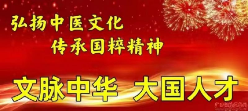 中国新时代国医大师——陈宝洪