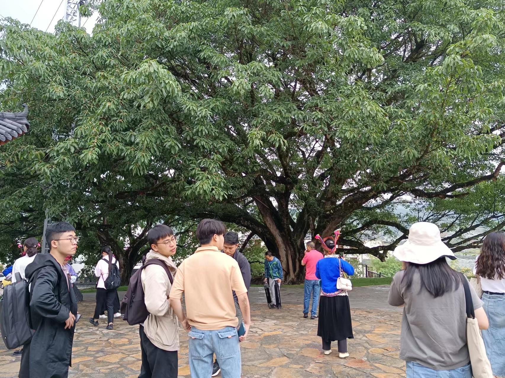 有一种叫云南的生活┃文山广南:从“一门三进士”到在土司衙署任教的第32任校长