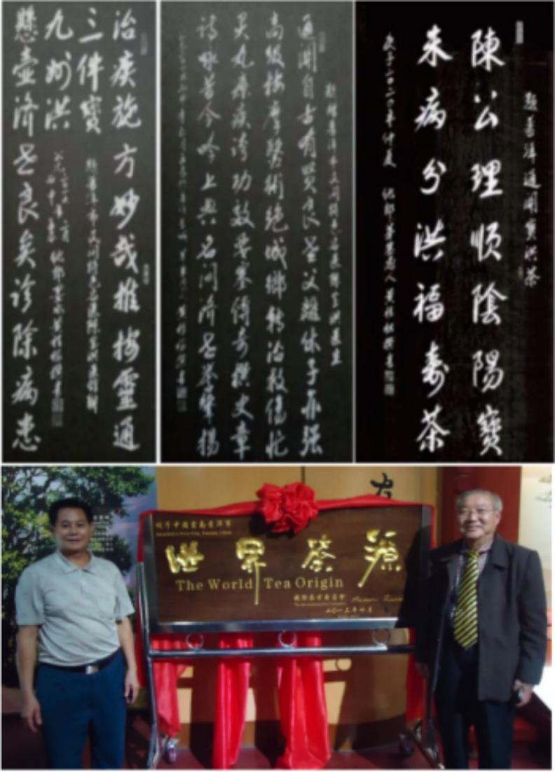中国新时代国医大师——陈宝洪