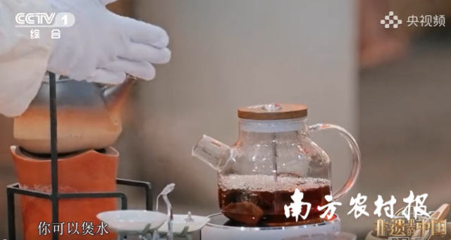 江门新会陈皮亮相央视《非遗里的中国·广东篇》