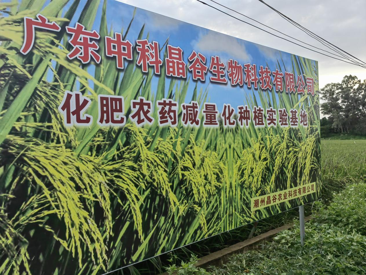 林大用:“把脉问诊”稻田 “良法”绽放健康