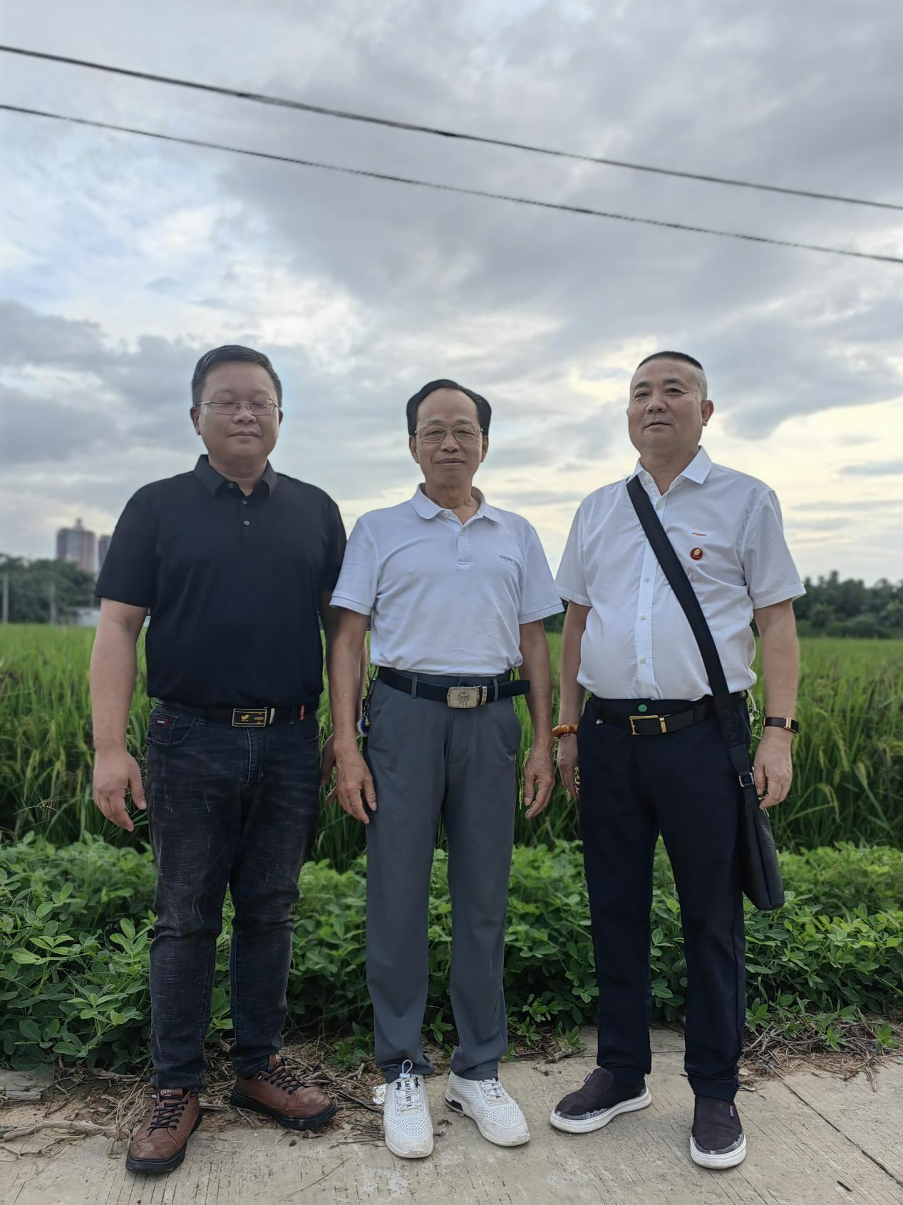 林大用:“把脉问诊”稻田 “良法”绽放健康