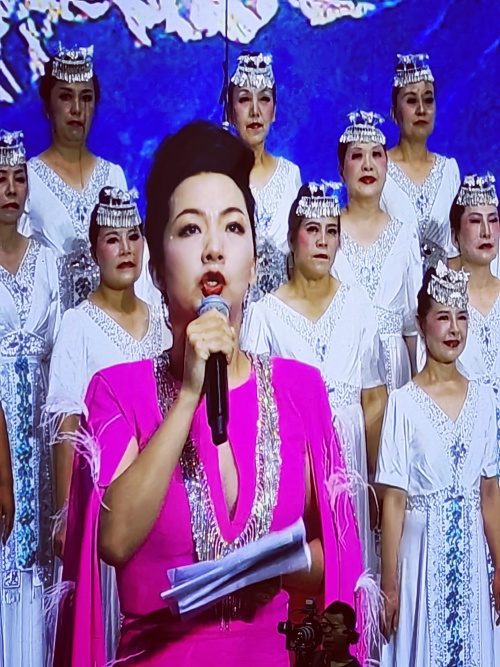 十年放歌彩云南 银发生辉展风采