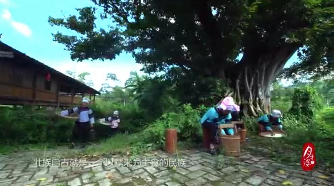 “月牙婆”:壮家儿女心底那抹最柔软的乡愁味道(下)