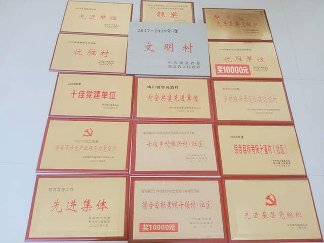 乡村蝶变展新颜——武穴市梅川镇李兴泗村推进美丽乡村建设走笔！
