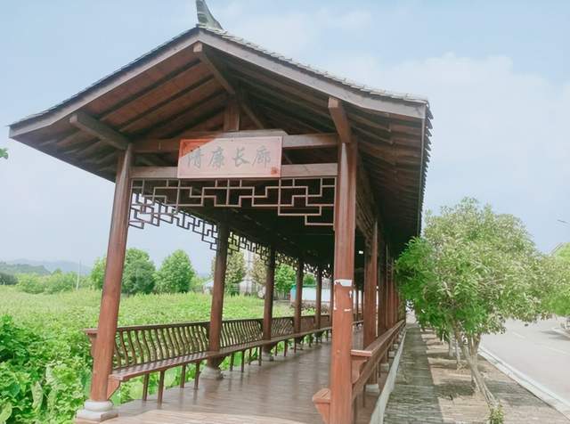 乡村蝶变展新颜——武穴市梅川镇李兴泗村推进美丽乡村建设走笔！