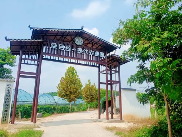 乡村蝶变展新颜——武穴市梅川镇李兴泗村推进美丽乡村建设走笔！