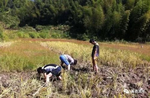 外婆的小山村