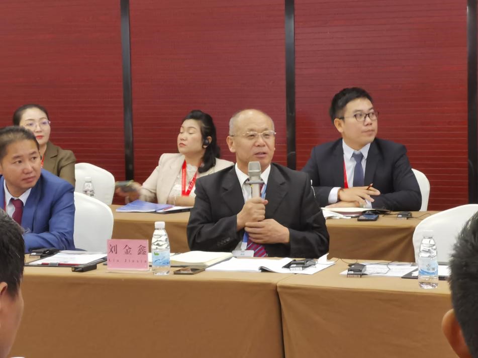 刘金鑫:加快推动印度洋地区国际通道建设