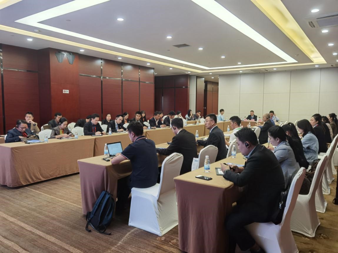 刘金鑫:加快推动印度洋地区国际通道建设