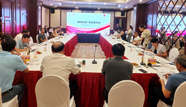 “麦珠红茶”通过专家评审 五彩湘茗再添新秀