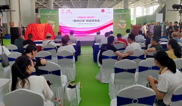 “渠江麦珠”首发长沙 绽放新化红茶新韵味