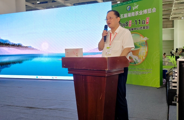 “渠江麦珠”首发长沙 绽放新化红茶新韵味