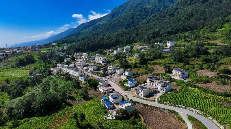 以集体经济为转轴,实现德育村民喜分红