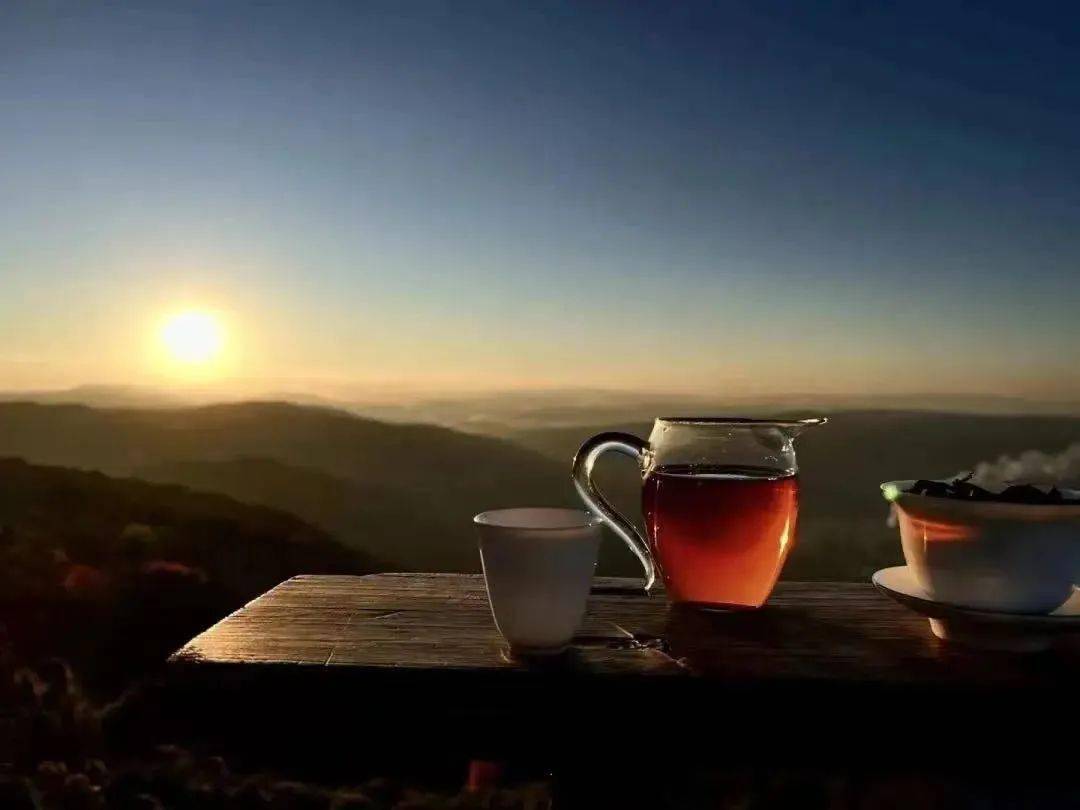 寒露至,来西双版纳登山、品茗