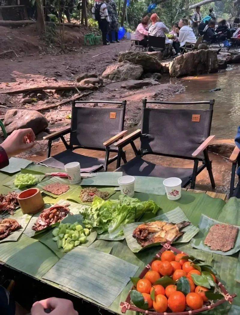 寒露至,来西双版纳登山、品茗