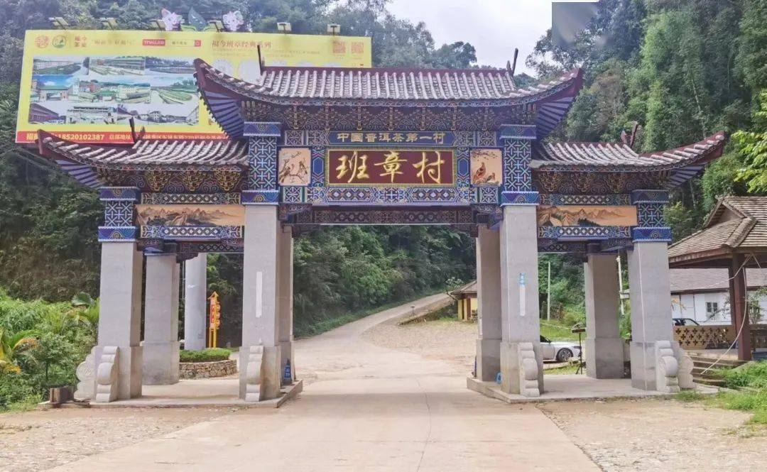 寒露至,来西双版纳登山、品茗