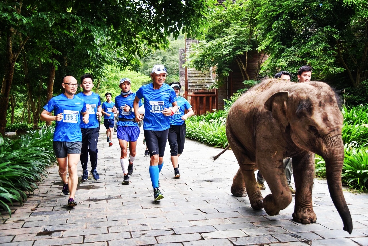 云南政协委员金飞豹:依托美丽乡村马拉松 跟着赛事去旅行