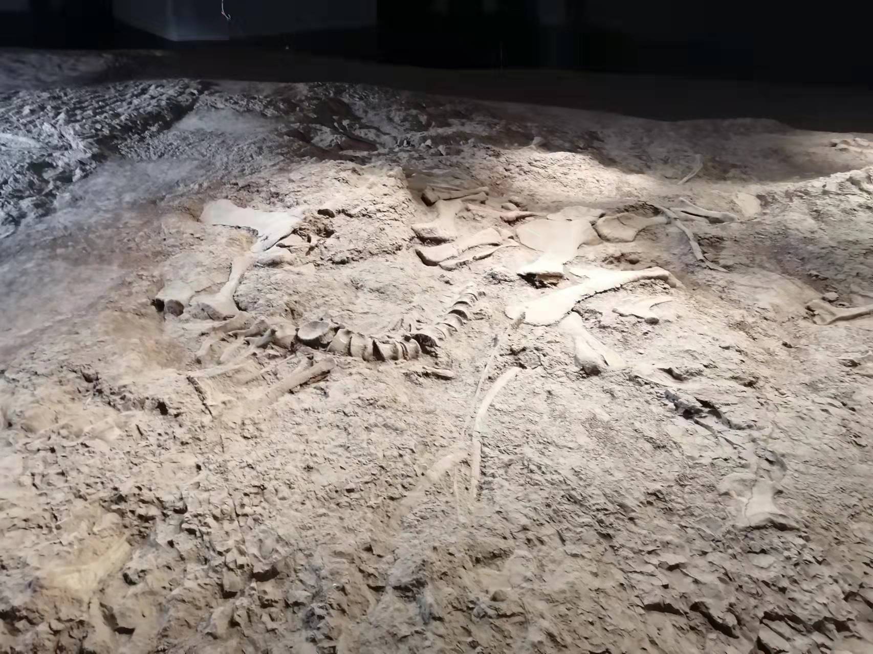 2024020205594054