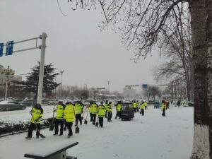 雪之情