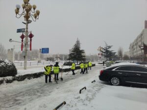 雪之情