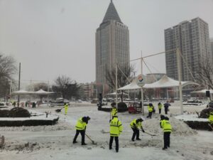 雪之情