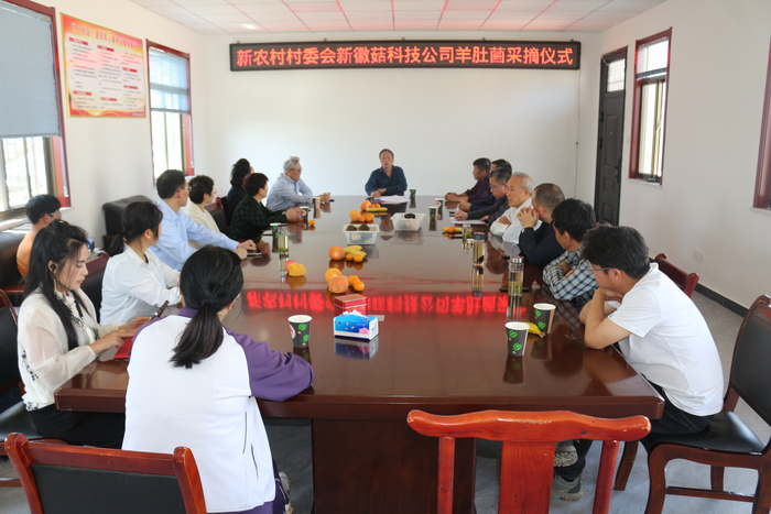合肥紫蓬镇新徽菇2024羊肚菌高质高产发布