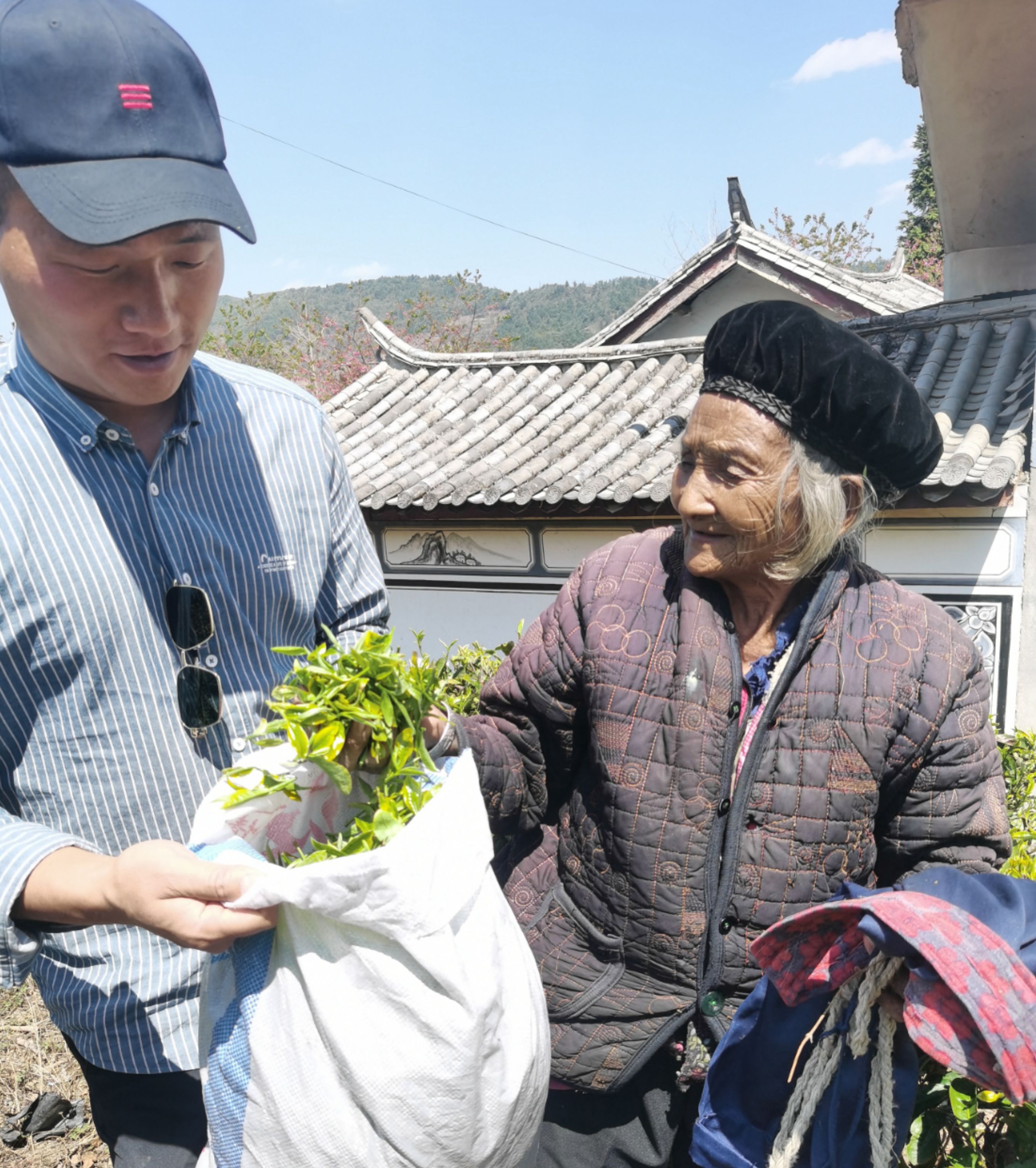 2024临沧凤庆红茶节(3)‖ 掐一缕“春”,带回家去煲汤喝(下)