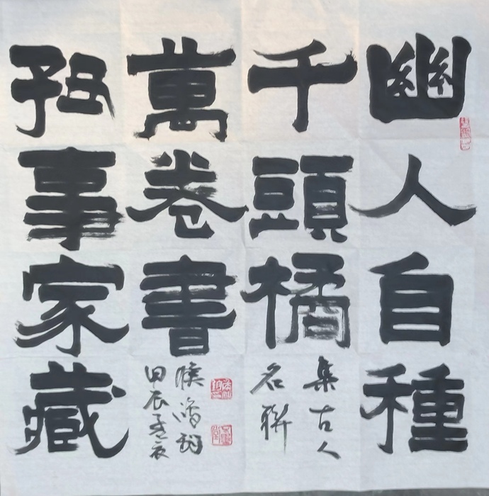 书法艺术精髓:侯鸿钧笔下的“南碑瑰宝”二爨碑书法创作