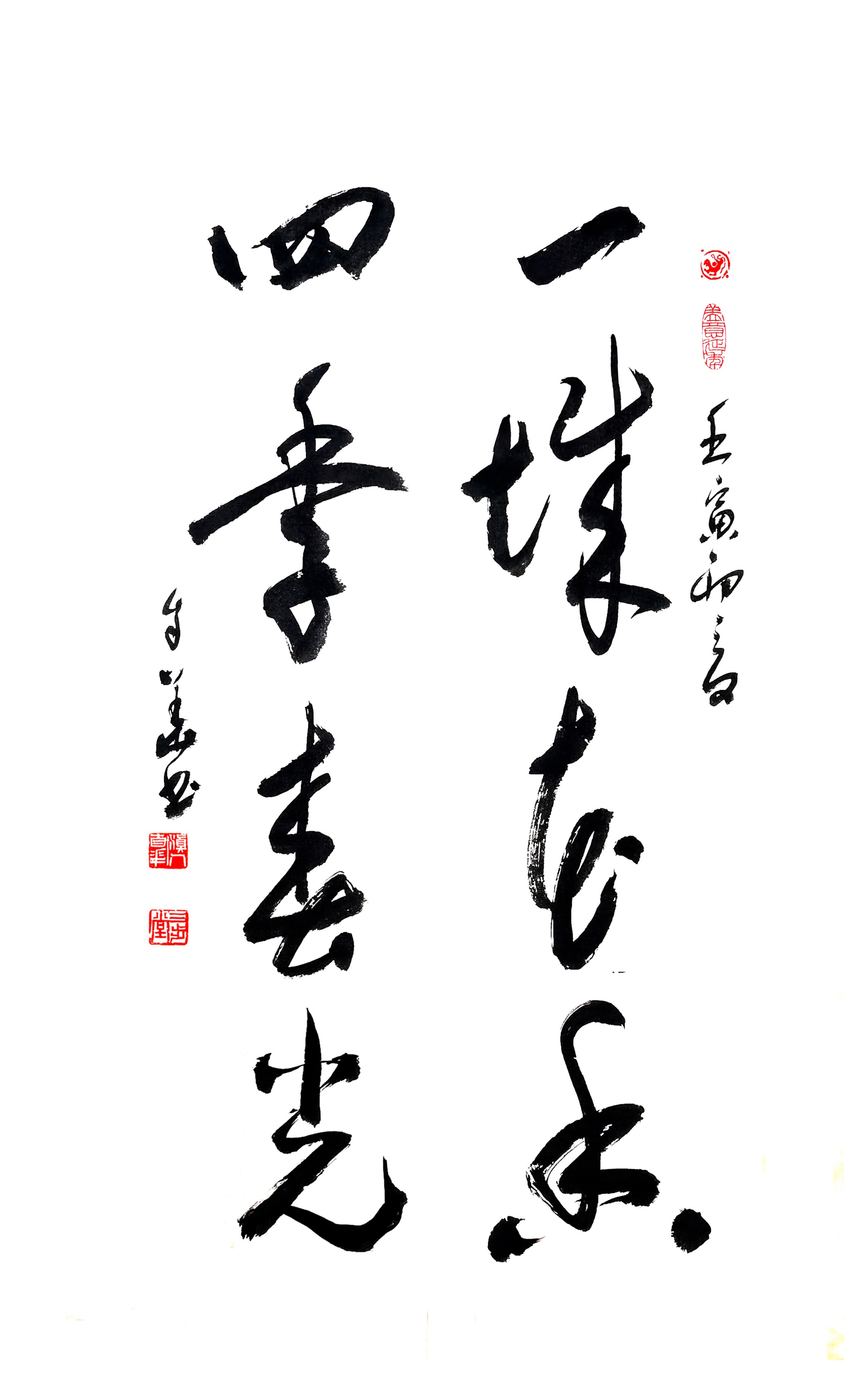 骆小所:自华而朴韵更佳