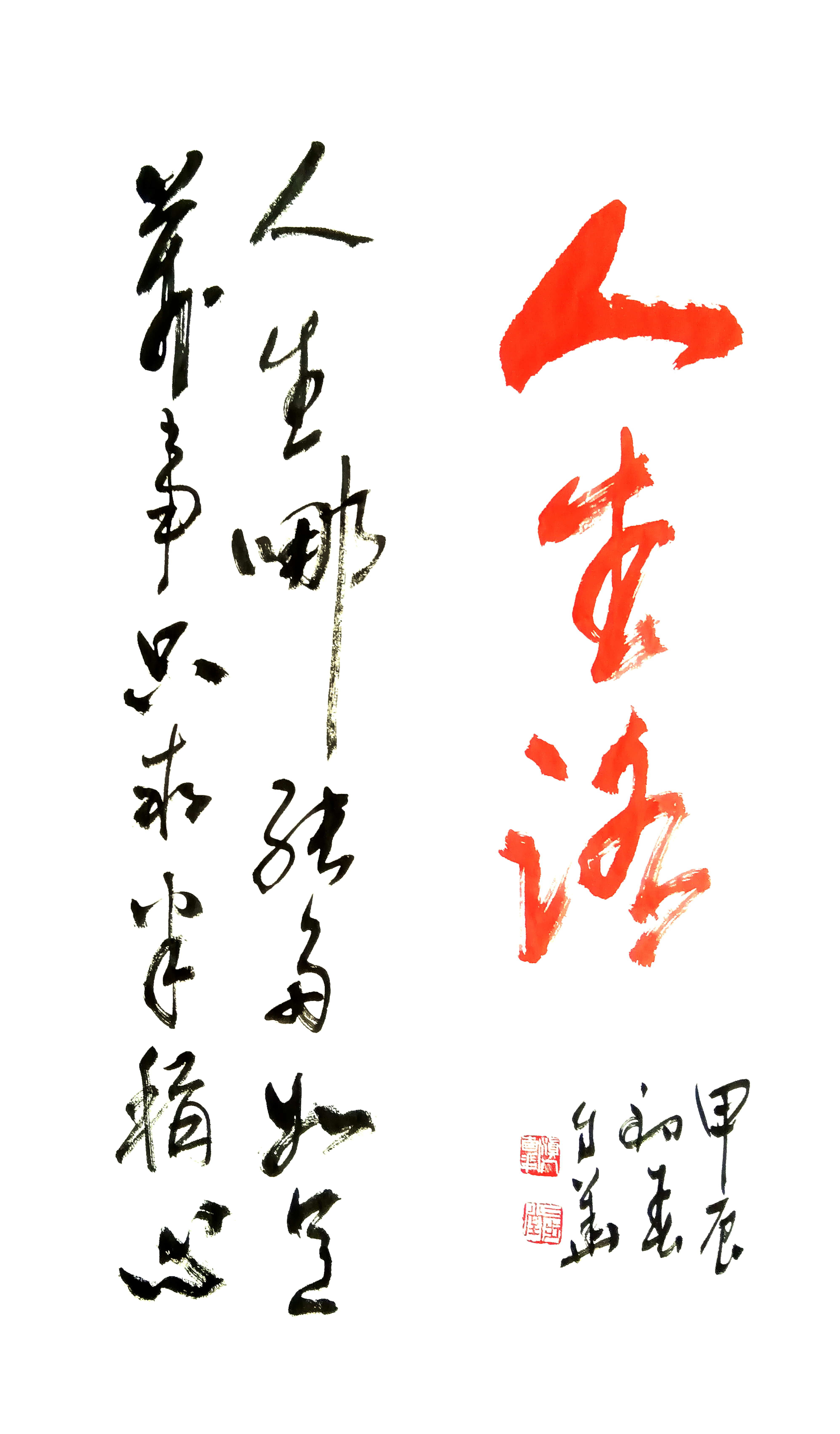 骆小所:自华而朴韵更佳