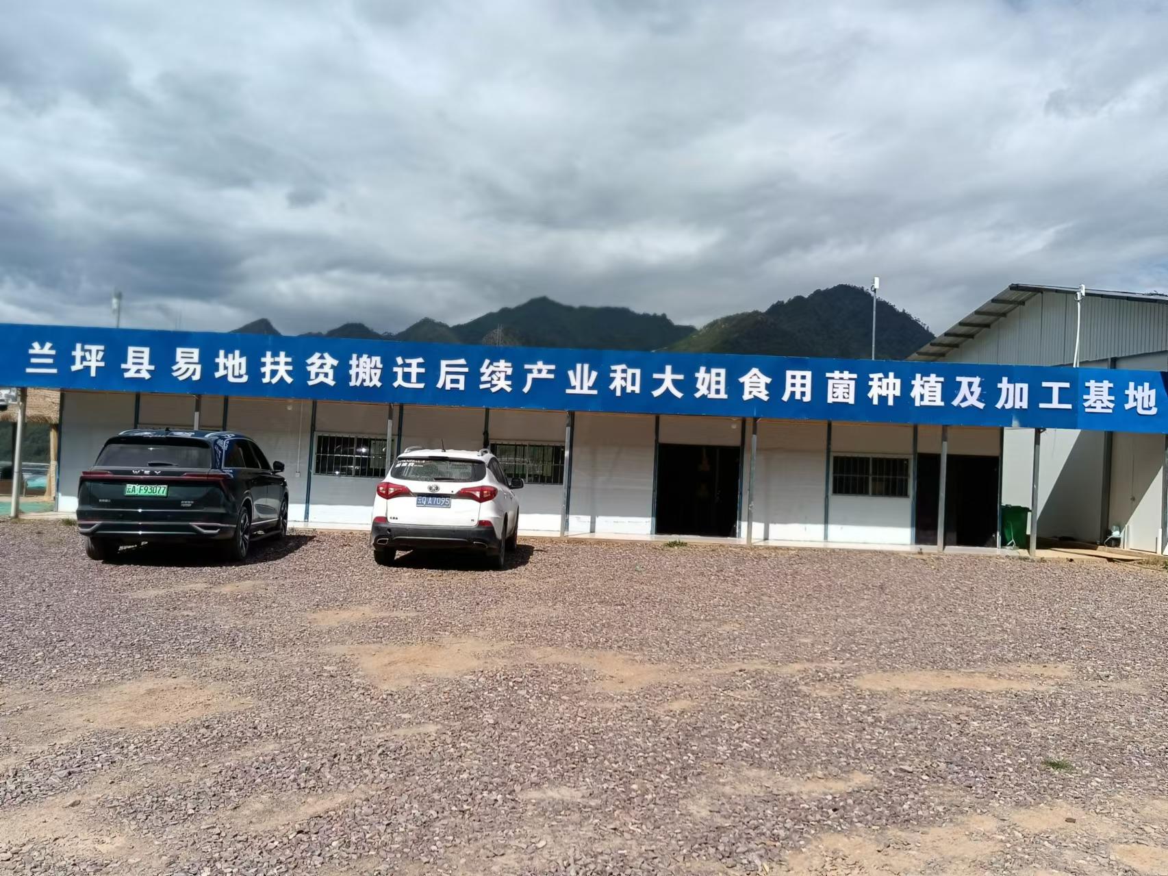 和昆花：以菌为旗，带领峡谷群众走好乡村振兴路（下）